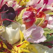 I love tulips - B-J Challa (ISBN 9789078169086)
