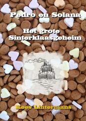 Het grote Sinterklaasgeheim - Kees Lintermans (ISBN 9789461930217)