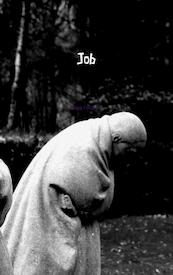 Job - Henk Fonteyn (ISBN 9789402116816)