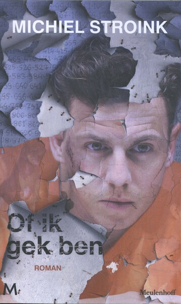 Of ik gek ben - Michiel Stroink (ISBN 9789059900400)