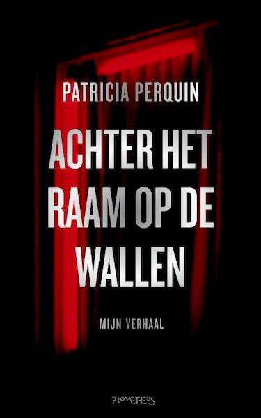 Achter het raam op de wallen - Patricia Perquin (ISBN 9789044622133)