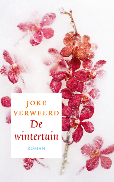 De wintertuin - Joke Verweerd (ISBN 9789023959991)