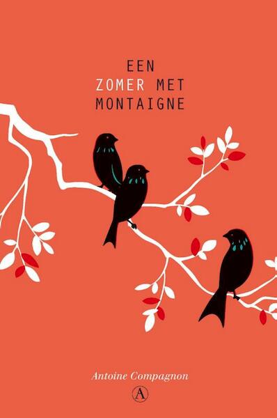 Een zomer met Montaigne - Antoine Compagnon (ISBN 9789025303723)