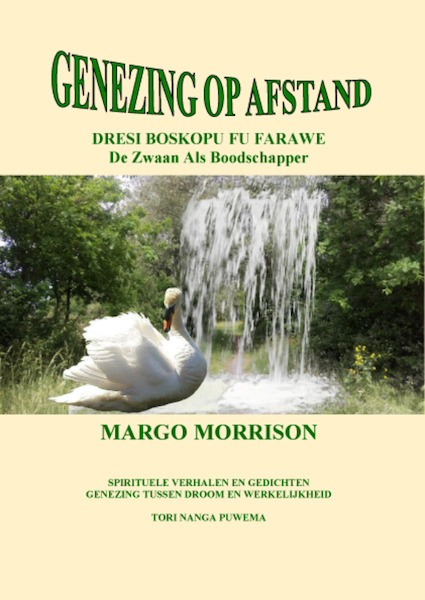 Genezing op afstand - Margo Morrison (ISBN 9789080402997)