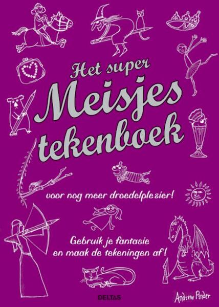 Het grote meisjes tekenboek 2 - Andrew Pinder (ISBN 9789044727678)