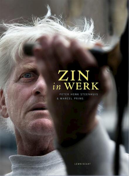 Zin in werk - Peter Henk Steenhuis (ISBN 9789047705536)
