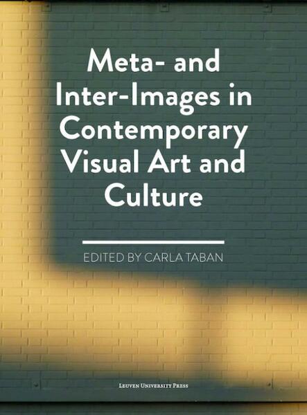 Meta- and inter-images in contemporary visual art and culture - (ISBN 9789058679574)