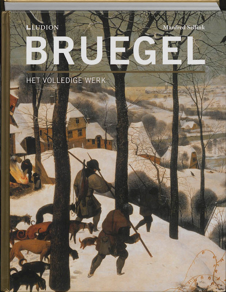 Bruegel - Het volledige werk - Manfred Sellink (ISBN 9789461300102)