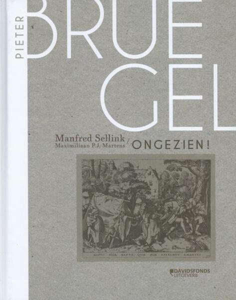 Bruegel ongezien - Manfred Sellinck, Maximiliaan P.J. Martens (ISBN 9789058268754)