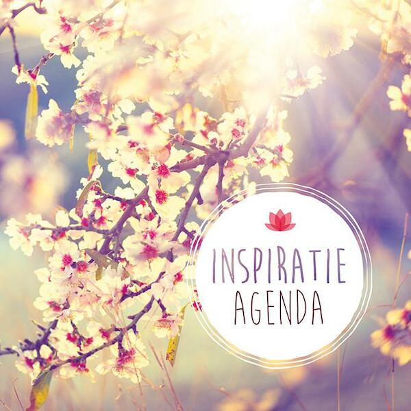 Inspiratie agenda - (ISBN 9789020212334)