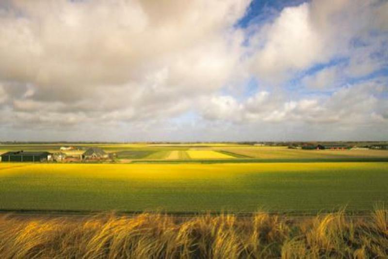 Land van Martin Kers, afbeelding: graanveld - Koos de Wilt (ISBN 9789089102966)